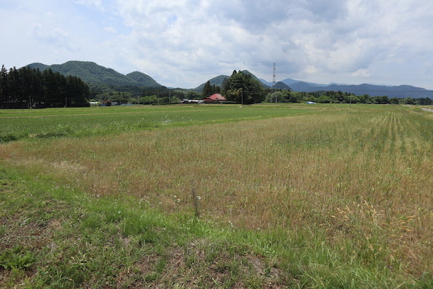 耕作放棄地のイメージ画像