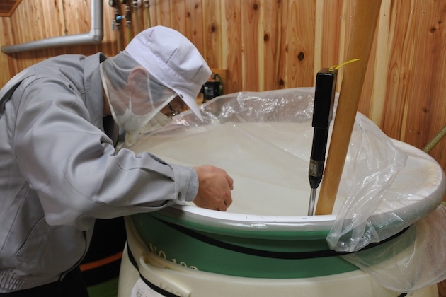 酒母を確認する森嶋正一郎さん