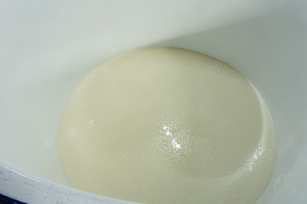 水酛のもろもの様子