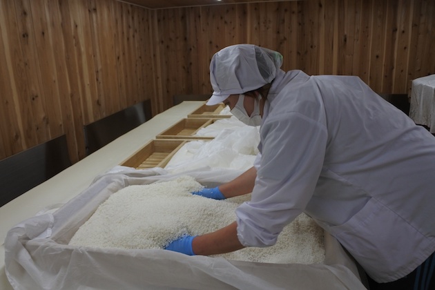 麹づくりの作業をする浦里さんの写真2