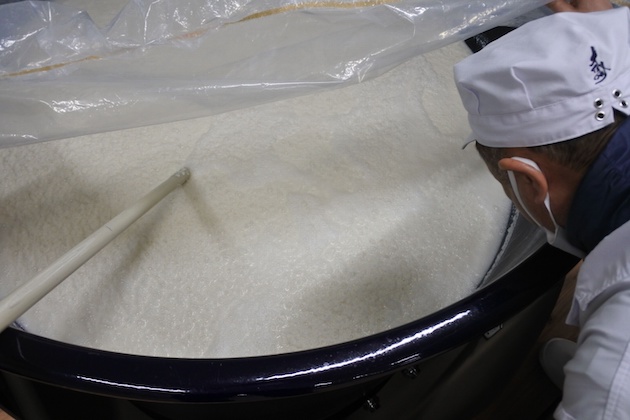 新蔵で醪と向き合う勝巳杜氏